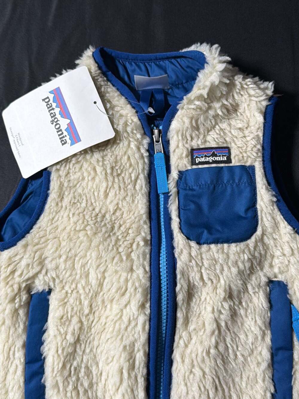 Patagonia Baby Retro-X Fleece Vest, Natural with Channel Blue, Size 2T - Picture 2 of 8